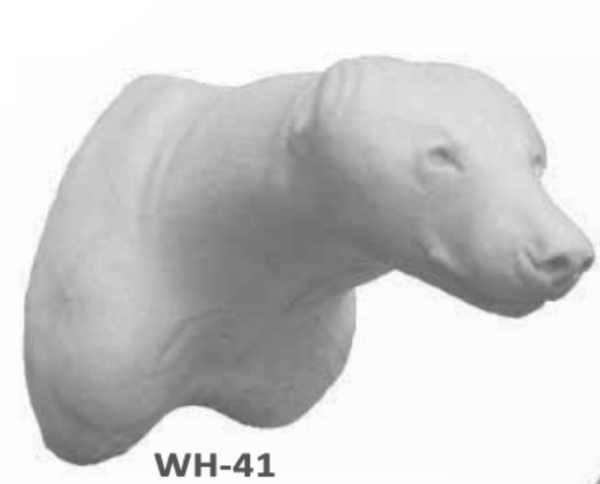 Bear closed mouth should form