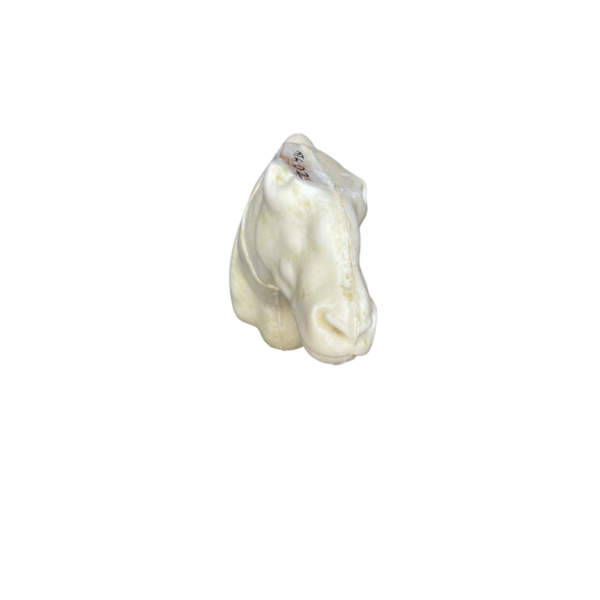 LEFT TURN - MOUNTAIN GOAT - Image 3