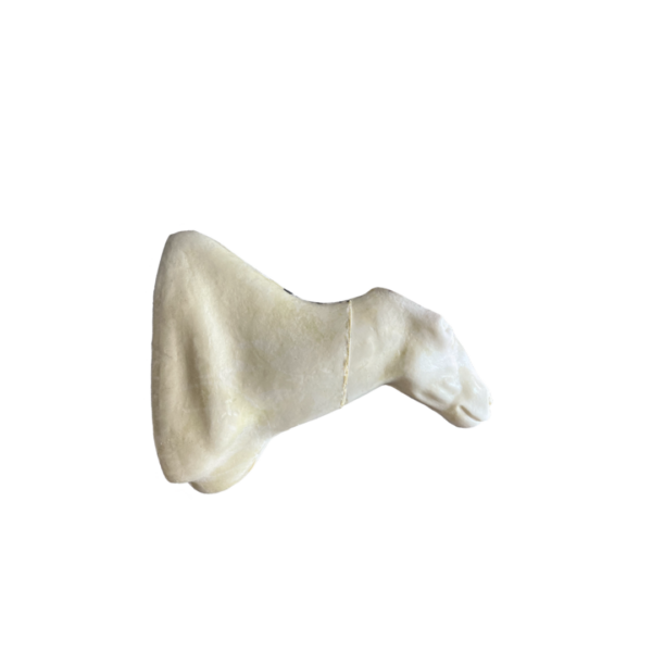 LEFT TURN - MOUNTAIN GOAT - Image 2