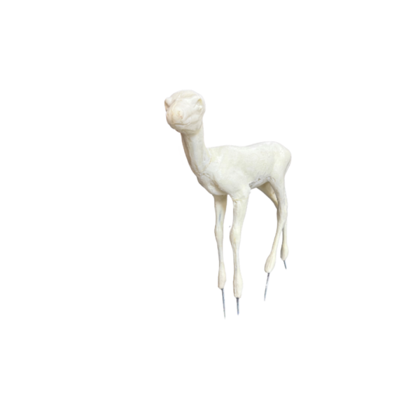 WHITETAIL -DEER-FAWN - LIFE SIZE - STANDING