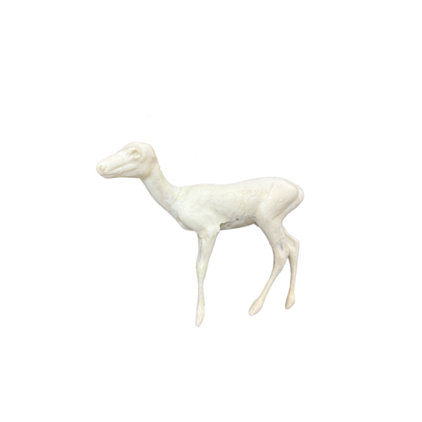 WHITETAIL -DEER-FAWN - LIFE SIZE - STANDING - Image 2