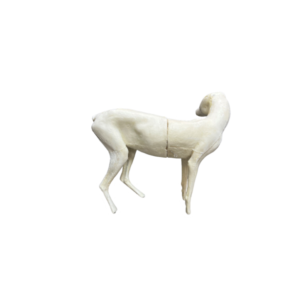FOX - LIFE SIZE -STANDING - KEN WALKER - Image 2