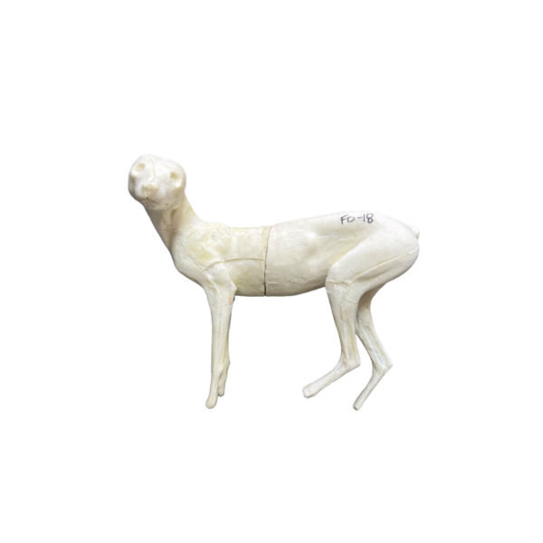 FOX - LIFE SIZE -STANDING - KEN WALKER