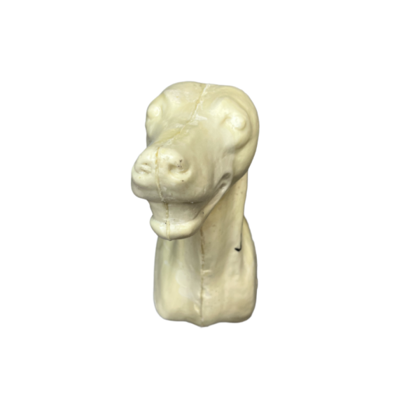 COYOTE - OPEN MOUTH - SHOULDER MNT