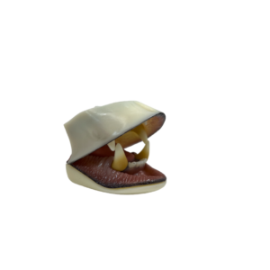 HALF JAW RELAXED MOUTH INSERT - BLACK BEAR