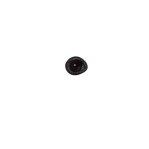 MALLARD DUCK EYE & LID - FLEX EYES