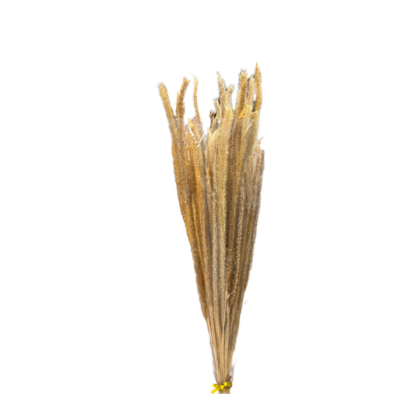 GRASS BUNDLE - NATURAL - 29"