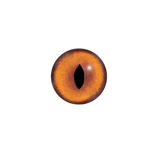 RED FOX - LIGHT - GLASS EYES