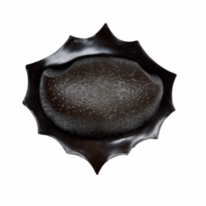 ANTLER MOUNTING PLATES - ANTELOPE