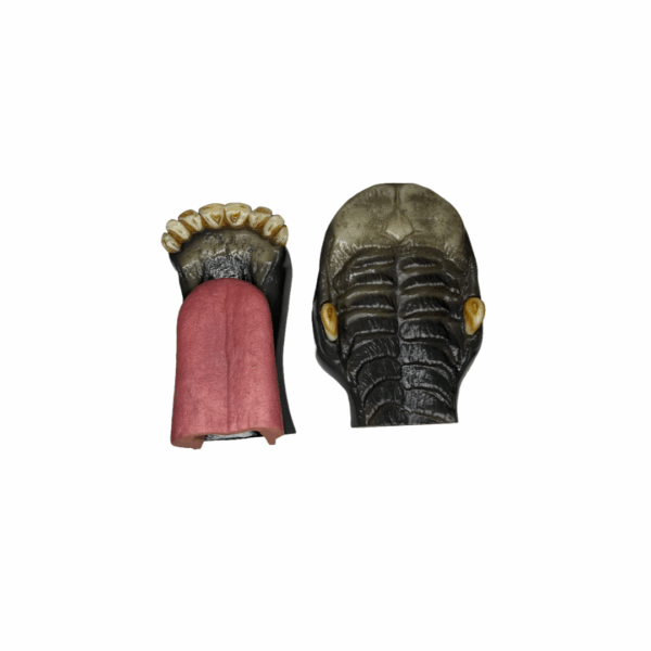 ELK - HALF JAW - LARGE - Image 3