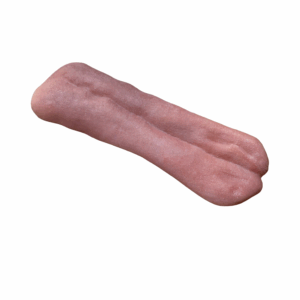 BLACK BEAR - RELAXED TONGUE