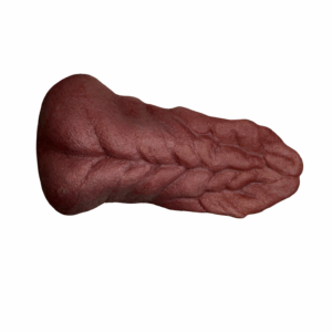 GRIZZLY BEAR - SUPER SNARL TONGUE