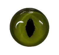SLIT PUPIL - GLASS EYE