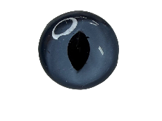 SLIT PUPIL - BLUE