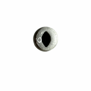 SLIT PUPIL - TRANSPARENT