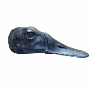 CANVASBACK